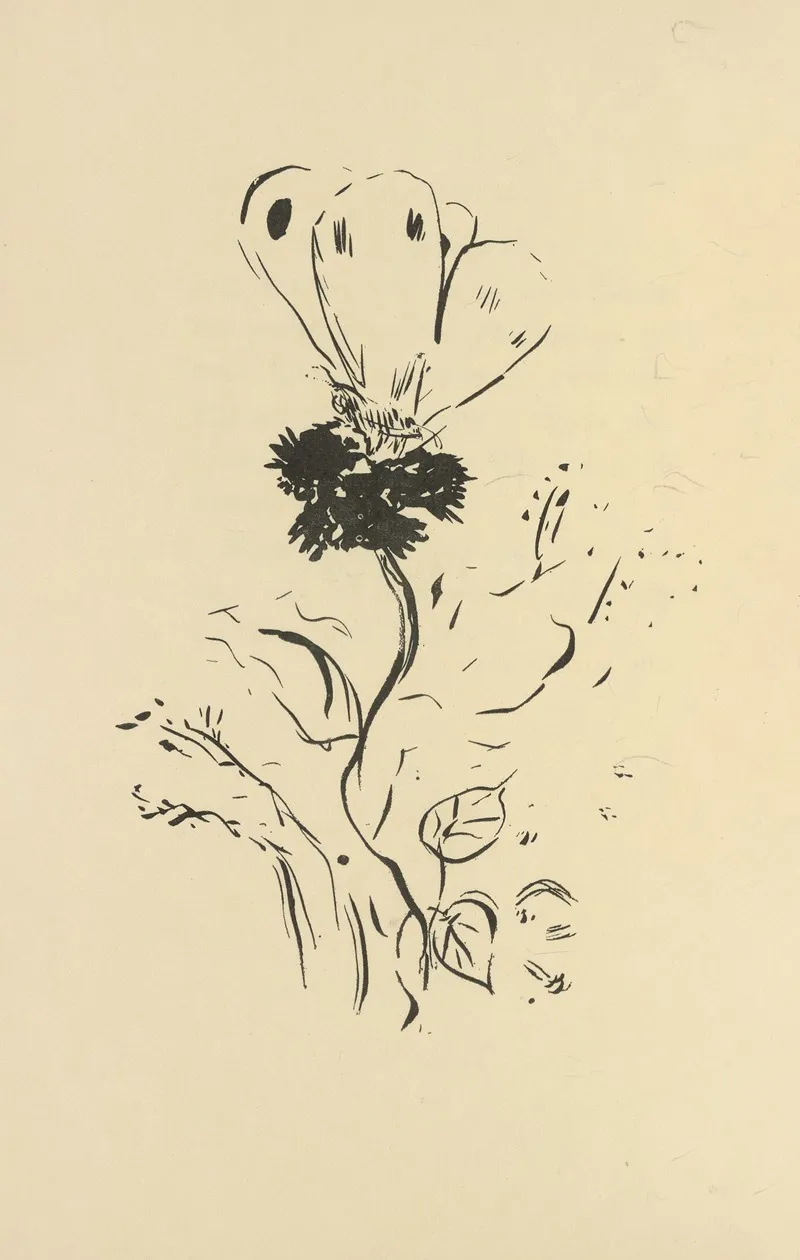 Histoires Naturelles Pl 37