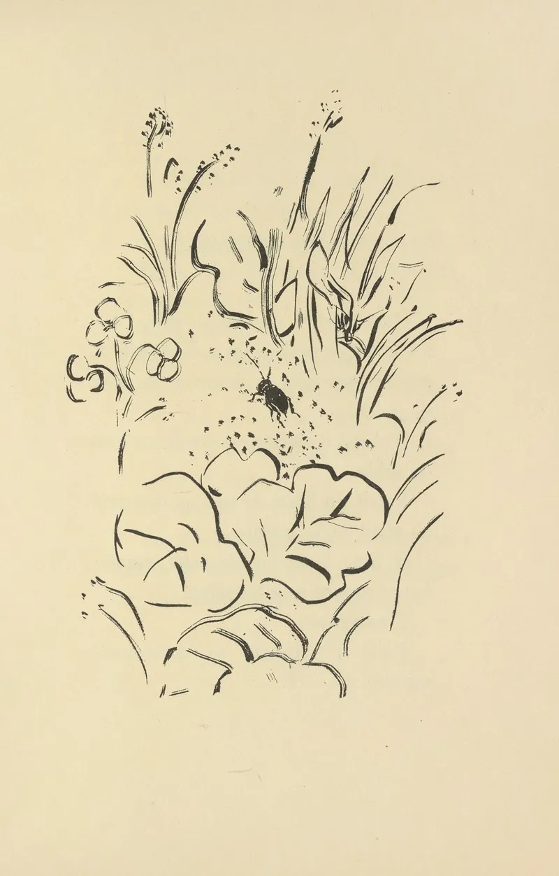 Histoires Naturelles Pl 40