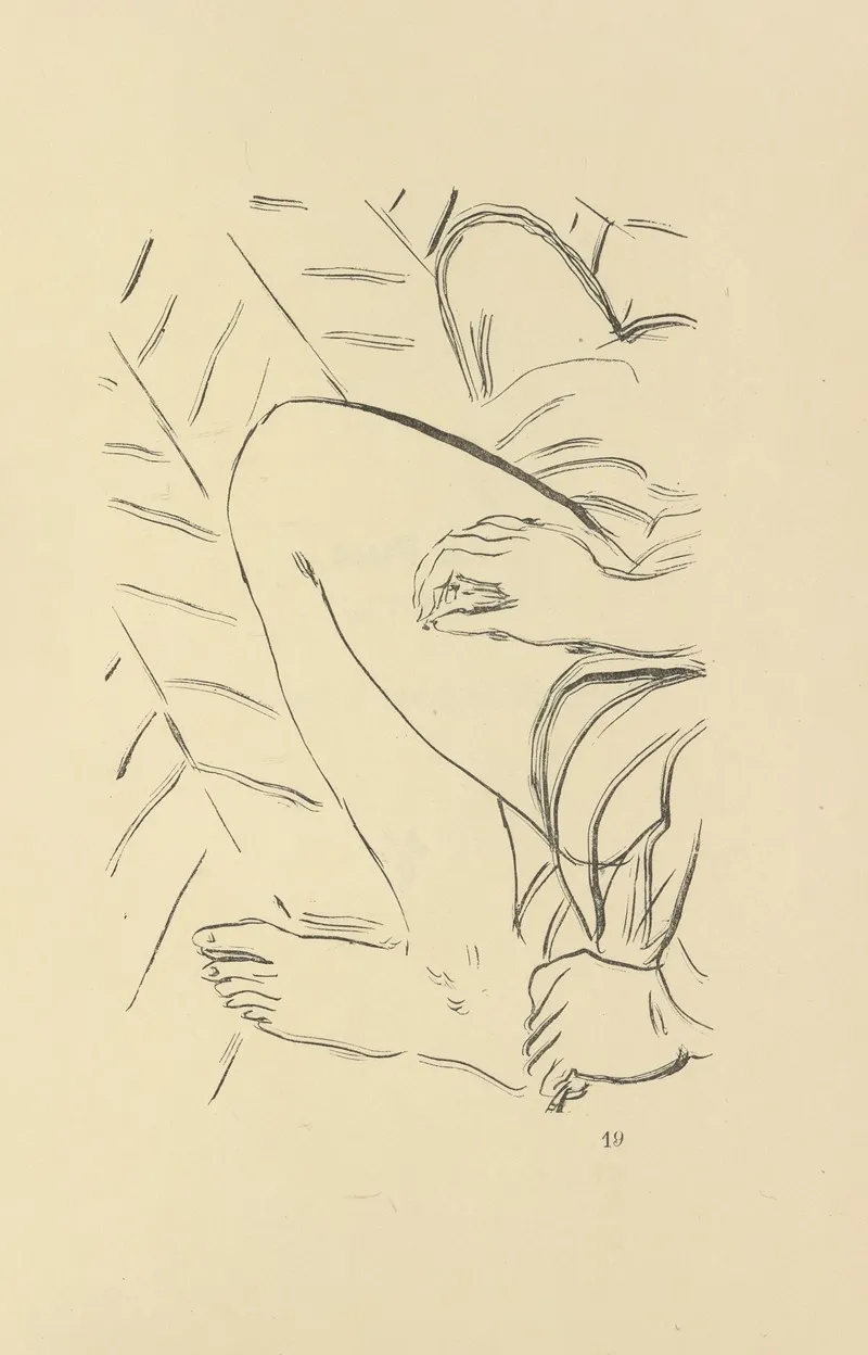 Histoires Naturelles Pl 43