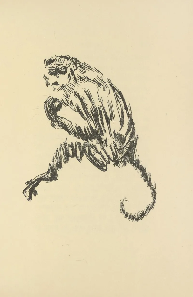 Histoires Naturelles Pl 45