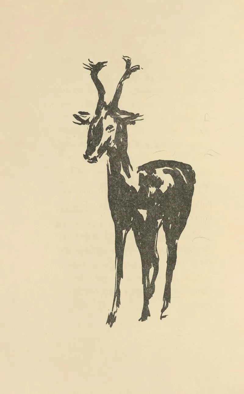 Histoires Naturelles Pl 46