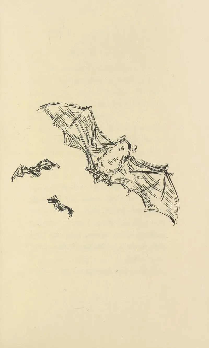 Histoires Naturelles Pl 53