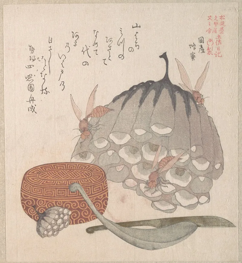 Hives With Wasps And A Box With A Spoon For Honey