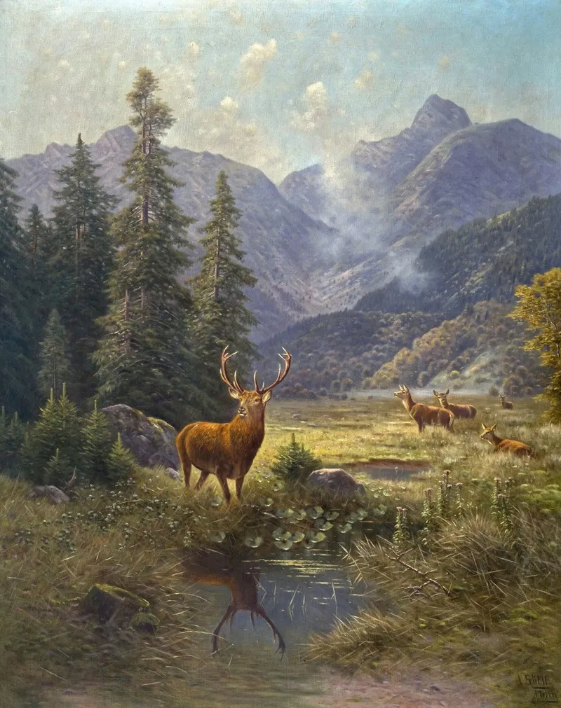 Hochwild In Der Hinteren Spielmannsau Bei Oberstdorf