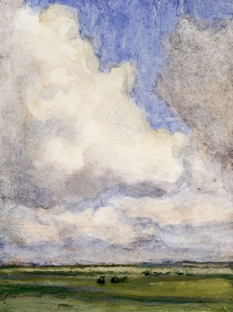 Hoge Wolkenlucht Boven Weilanden 2