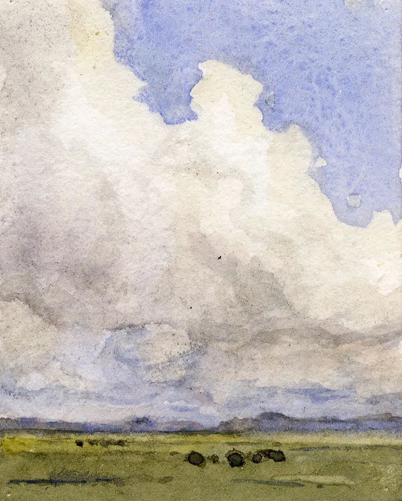 Hoge Wolkenlucht Boven Weilanden 5