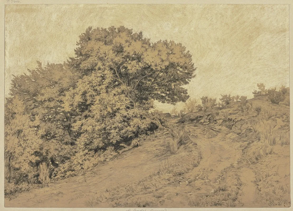 Hohlweg In Burgund Mit Baumwerk Zur Linken Seite
