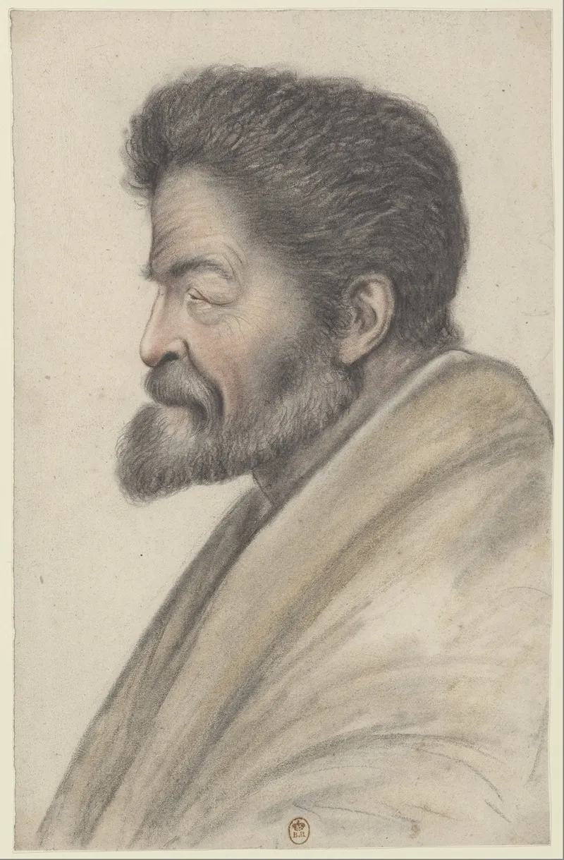 Homme A La Barbe Courte Et Aux Cheveux Courts Et Raides Vu De Profil A Gauche