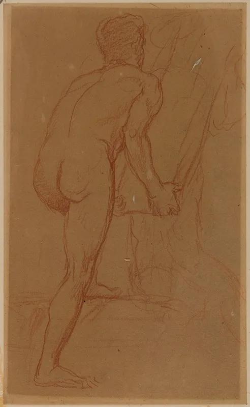 Homme Nu De Dos