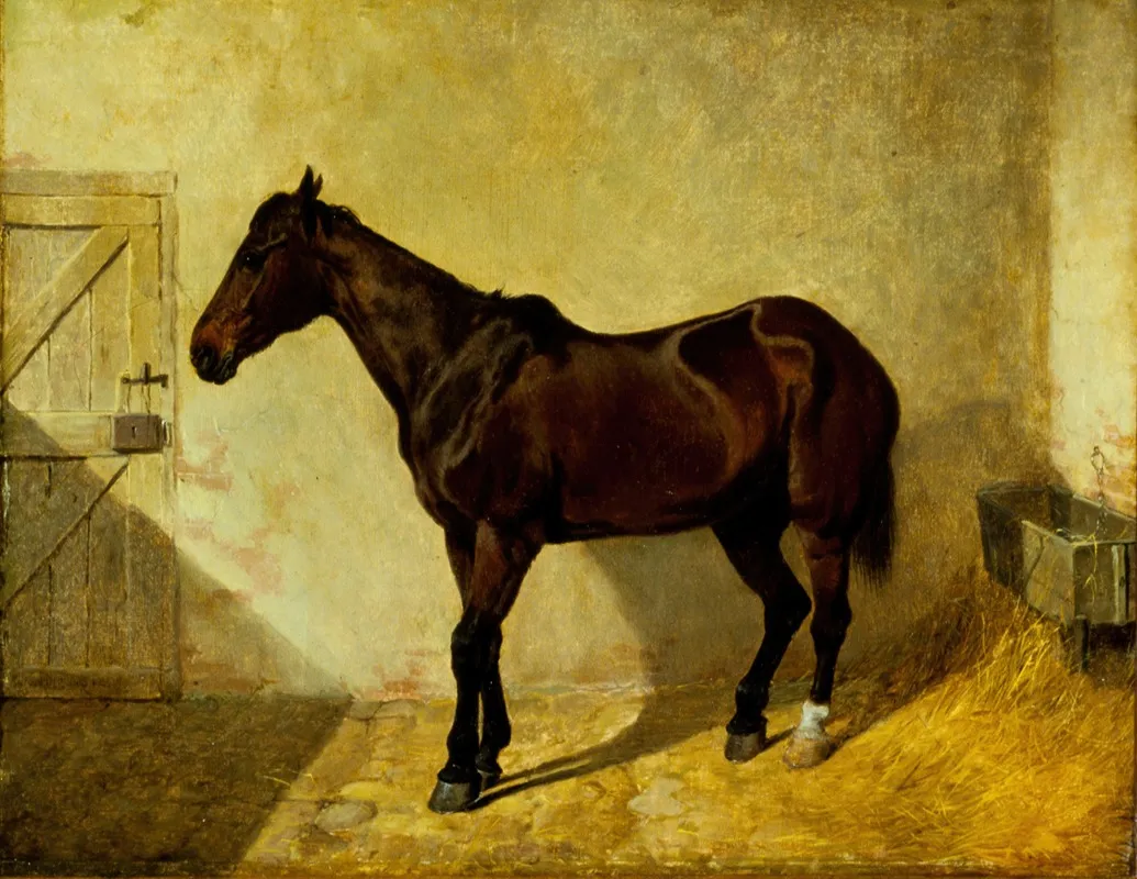 Horse 3