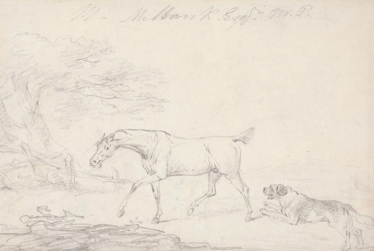 Horse And Dog