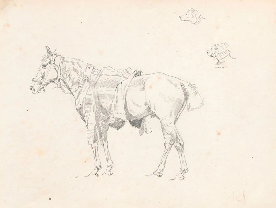 Horse Covered With Saddlecloth From The Side And Sketches Of Dogs Head