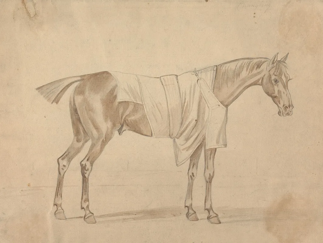 Horse Dressed In Blanket