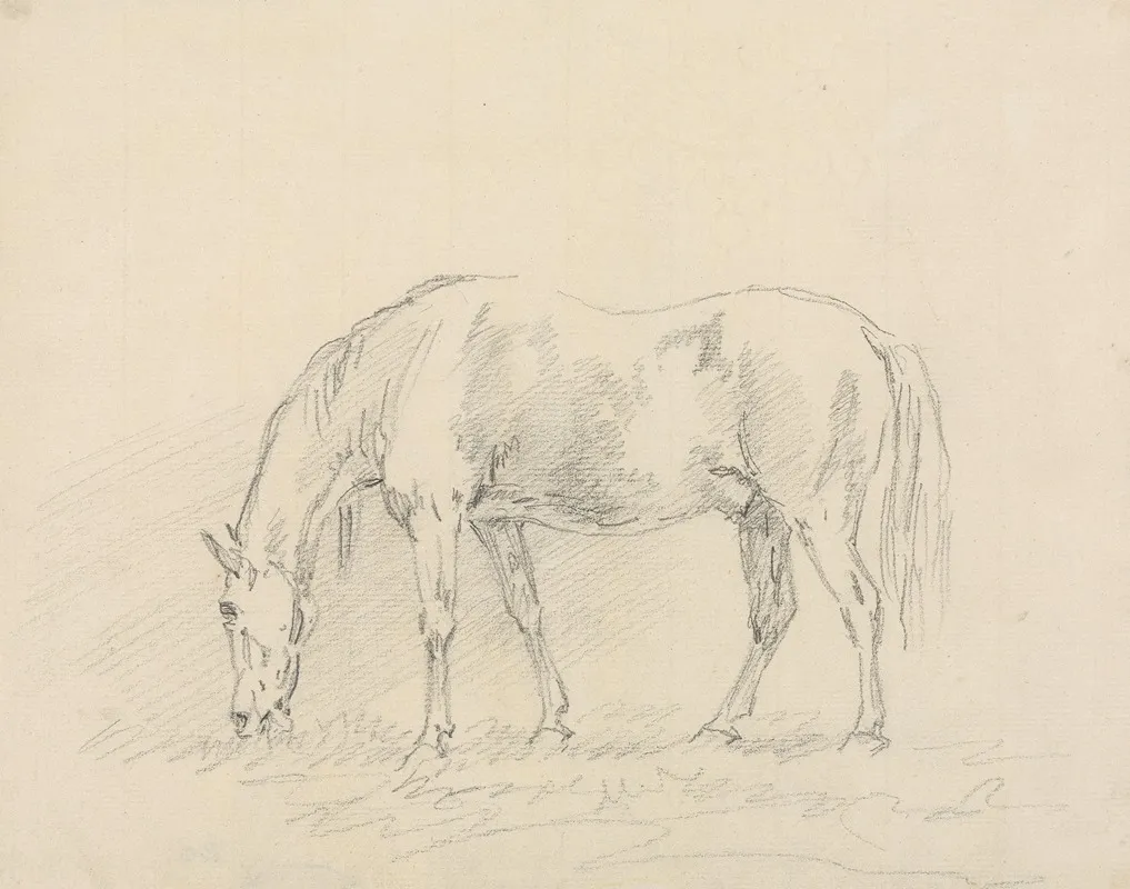 Horse Grazing