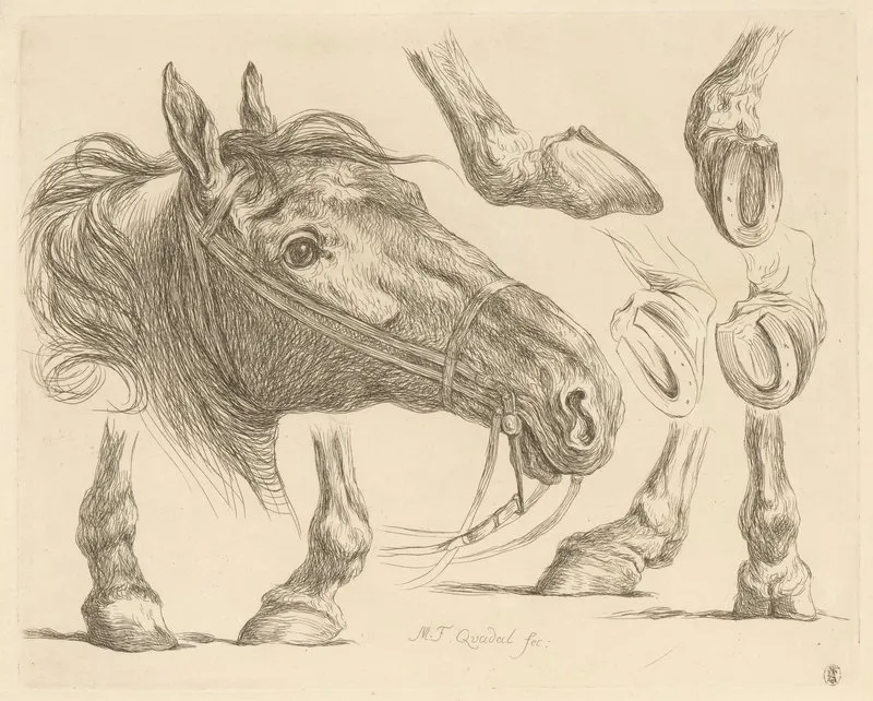 Horse Head And Hooves
