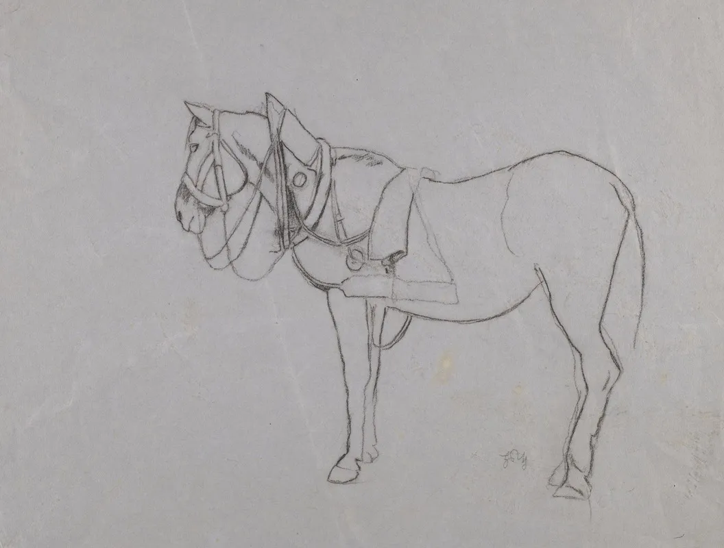 Horse In A Harness 2