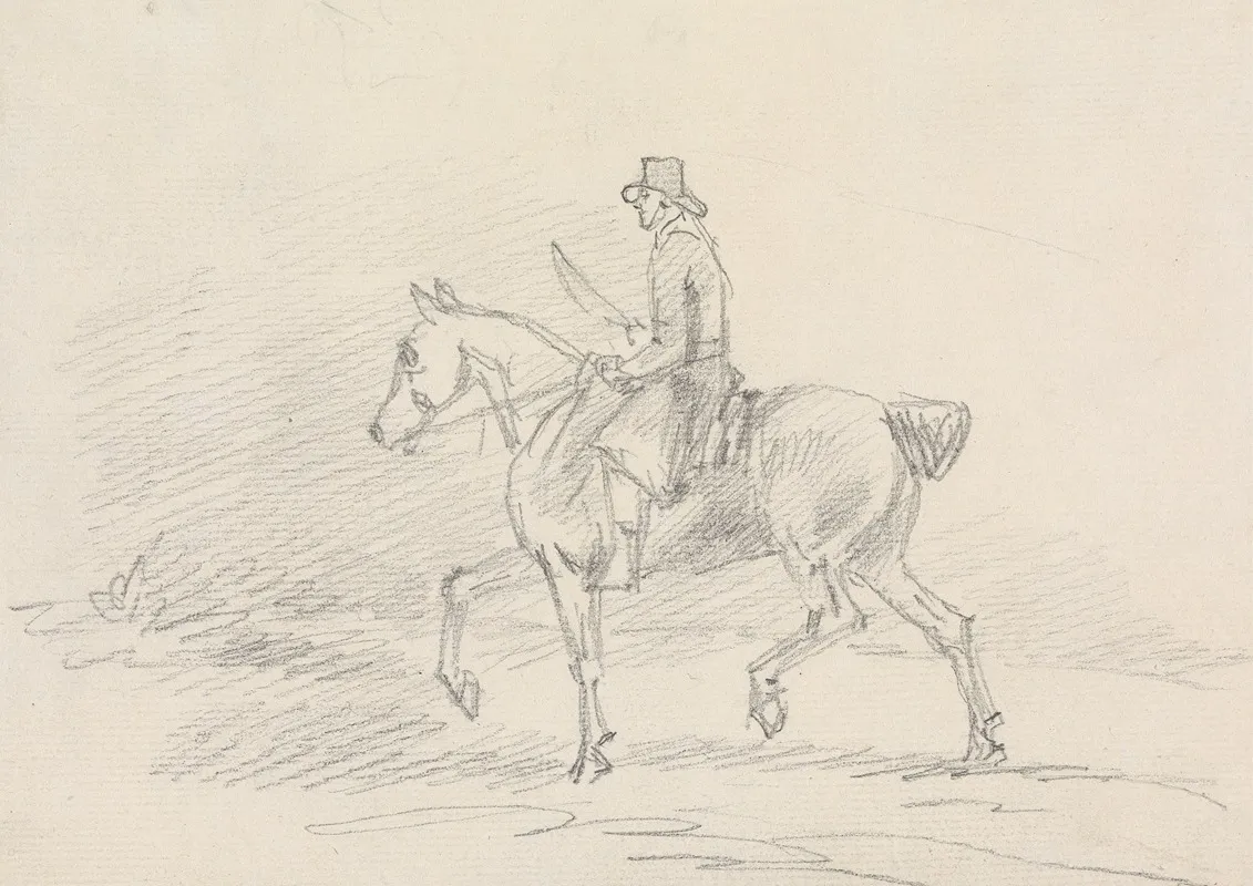 Horse Rider In Walking Gait