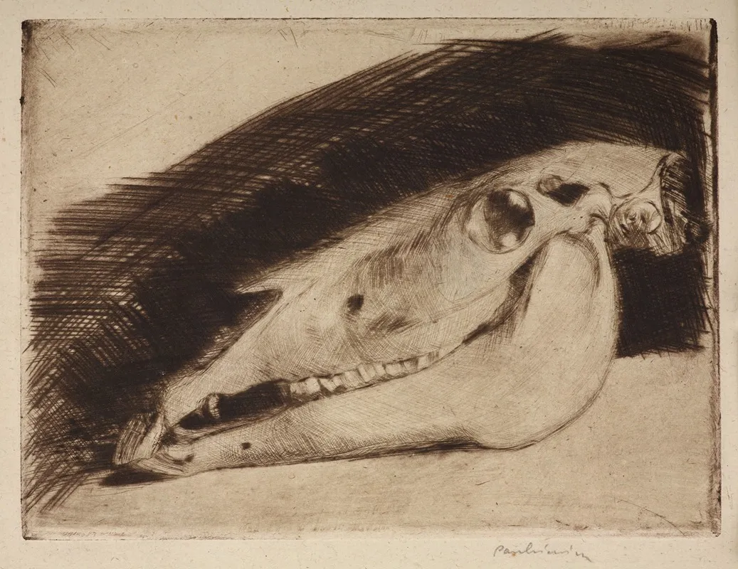 Horse Skull