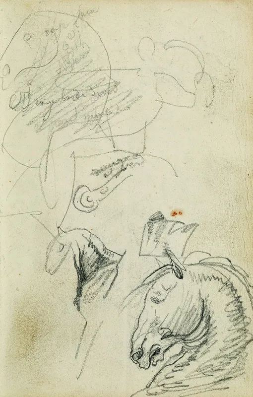 Horse Studies
