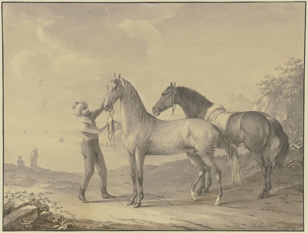 Horses From Tunis
