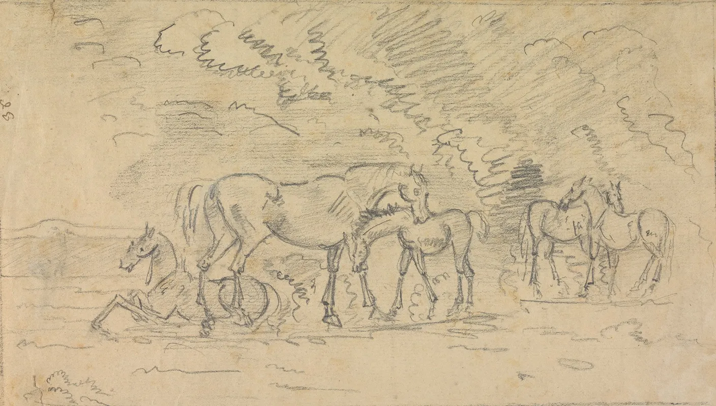 Horses In A Meadow 3