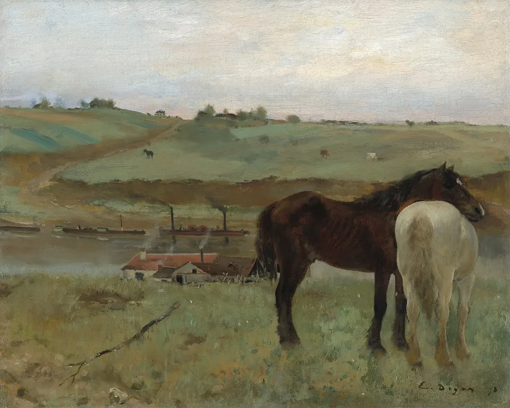 Horses In A Meadow