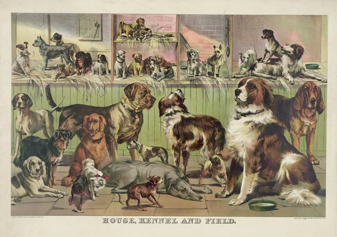 House Kennel And Field