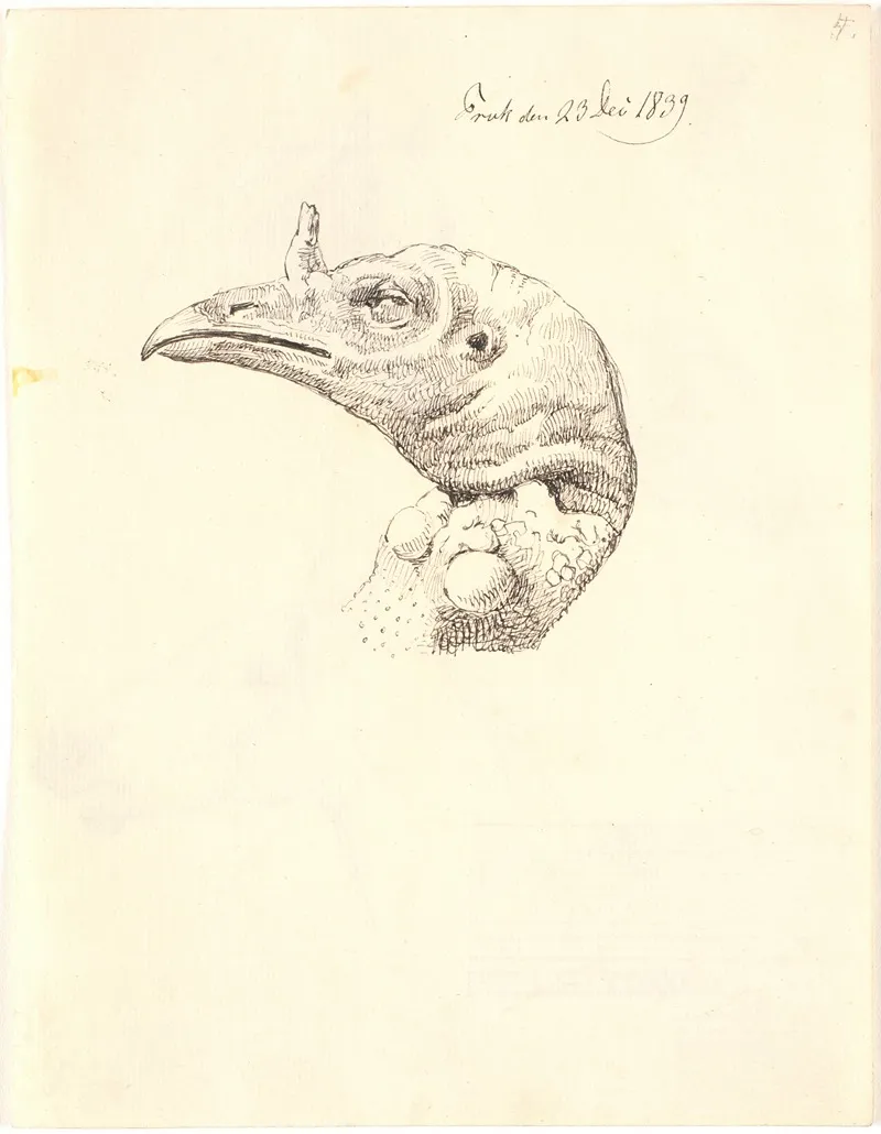 Hovede Af En Dod Kalkunhone by Johan Thomas Lundbye - Canvas Print