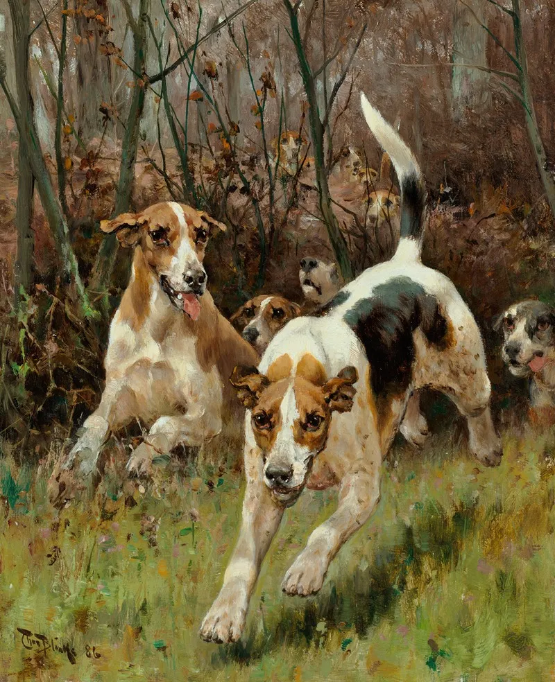 Hunting Pack Coming On