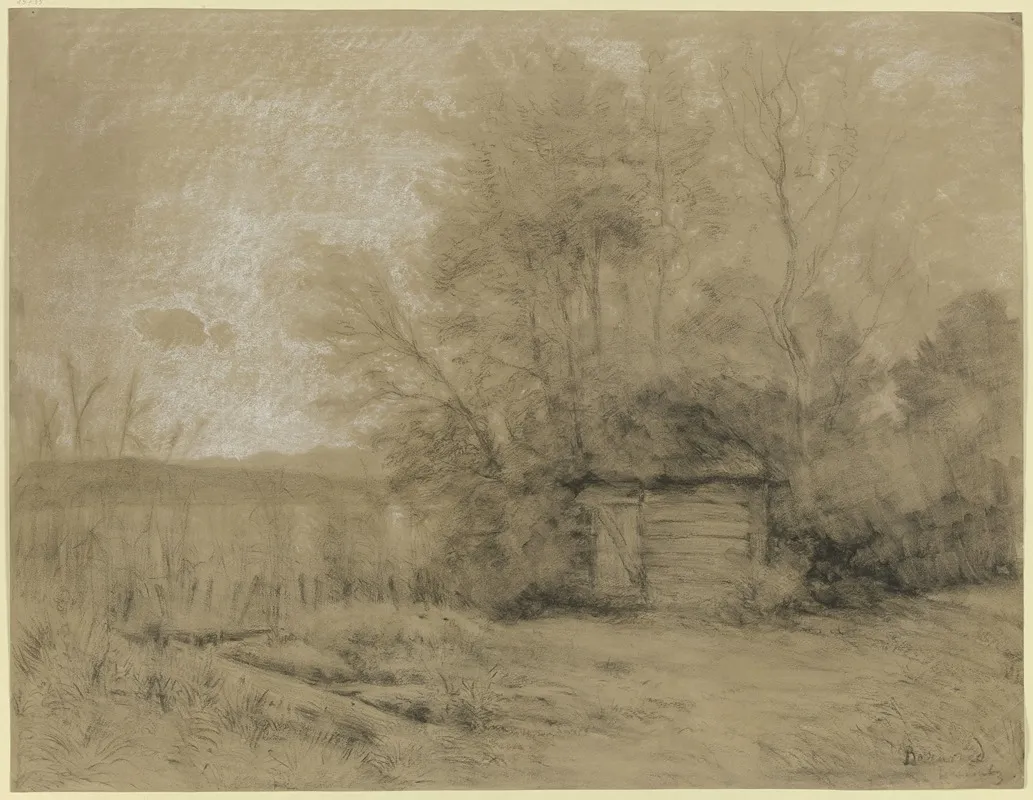 Hut In The Swamp by Peter Burnitz - Canvas Print