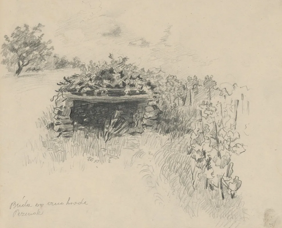Hut In The Vineyard