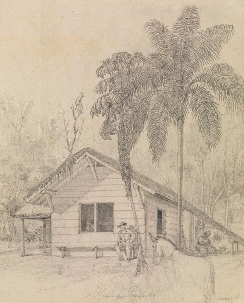 Hutte Von Parahyba by Ferdinand Keller - Canvas Print