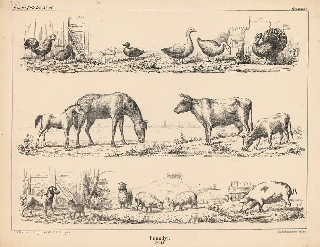 Huusdyr No 1 by Emil Bærentzen - Canvas Print