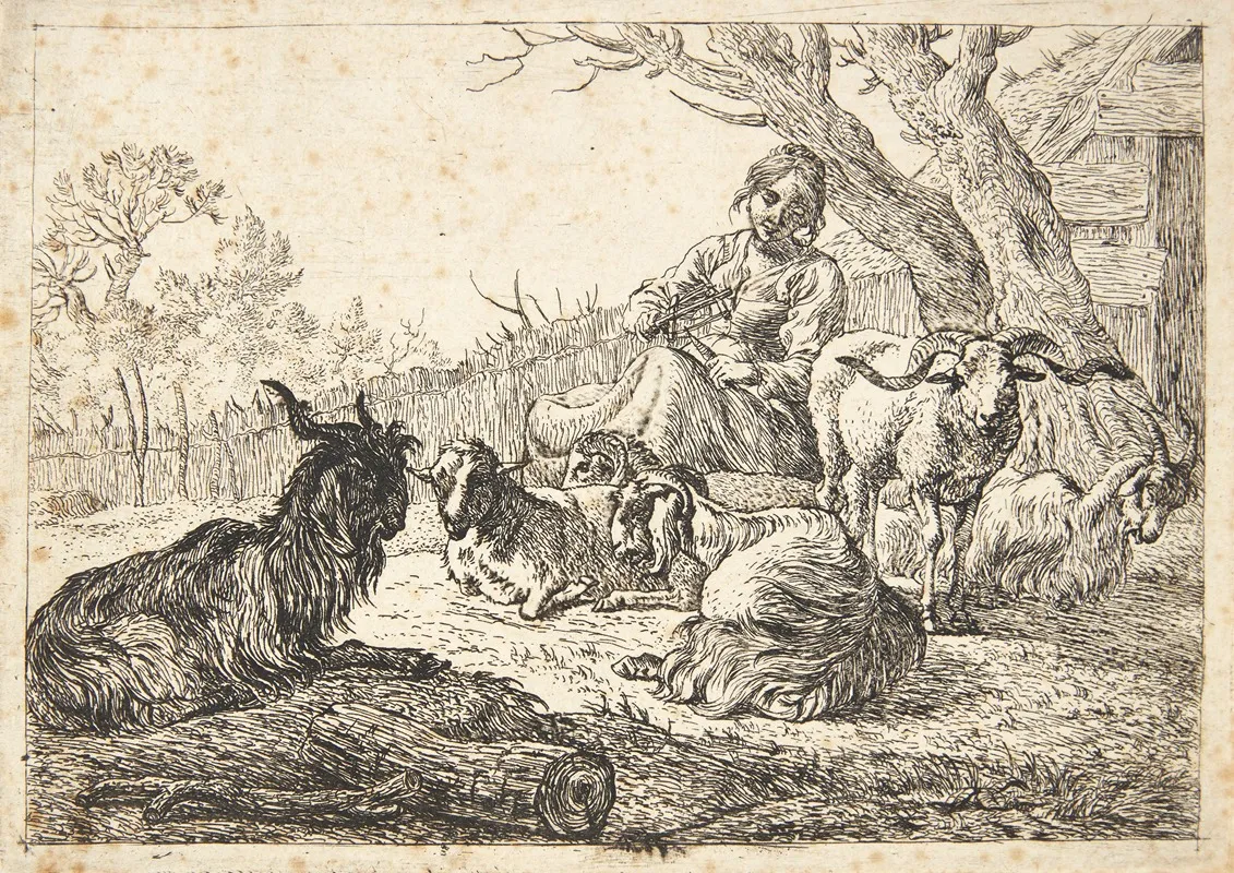 Hyrdinde Med En Garnvinde Siddende Blandt Geder Og Far by Pieter van Laer - Canvas Print