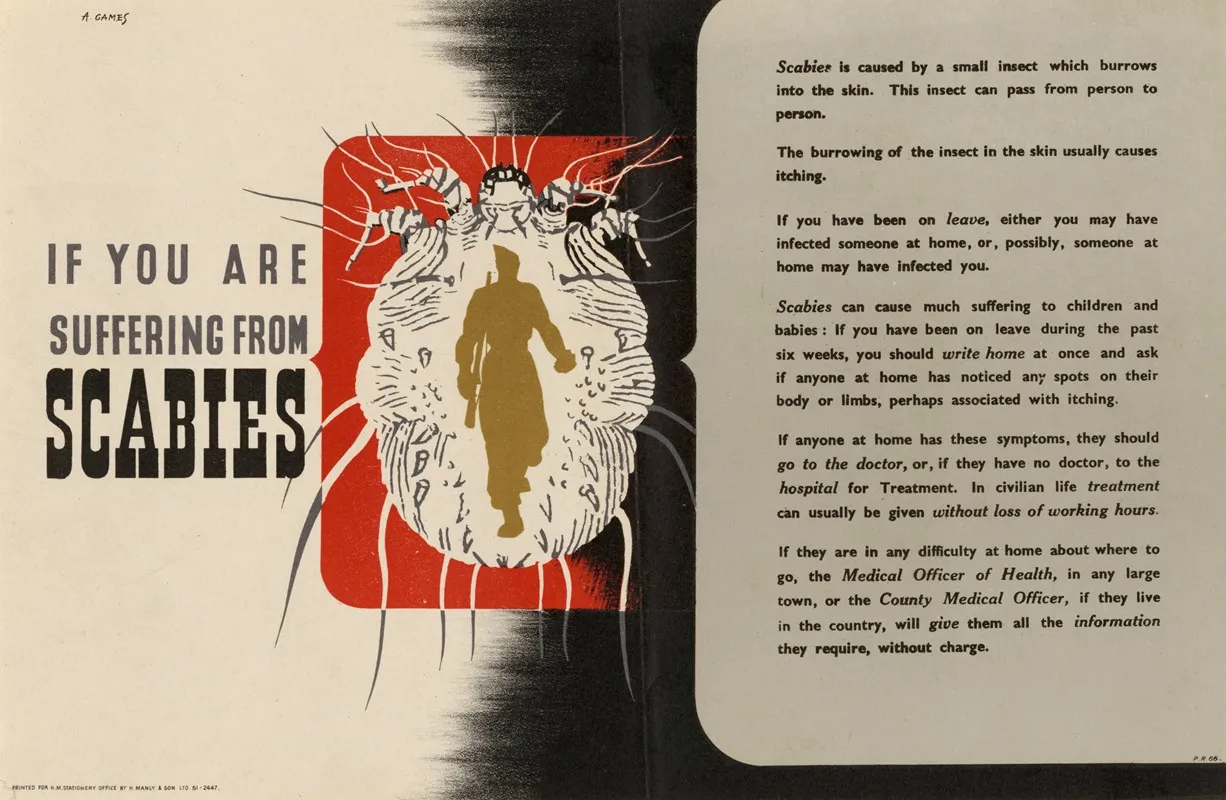 If You Are Suffering From Scabies