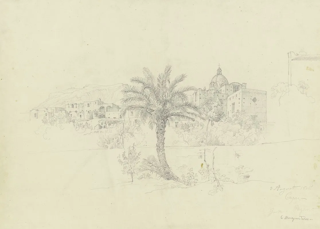 Im Garten Von Pagano Auf Capri by Carl Morgenstern - Canvas Print
