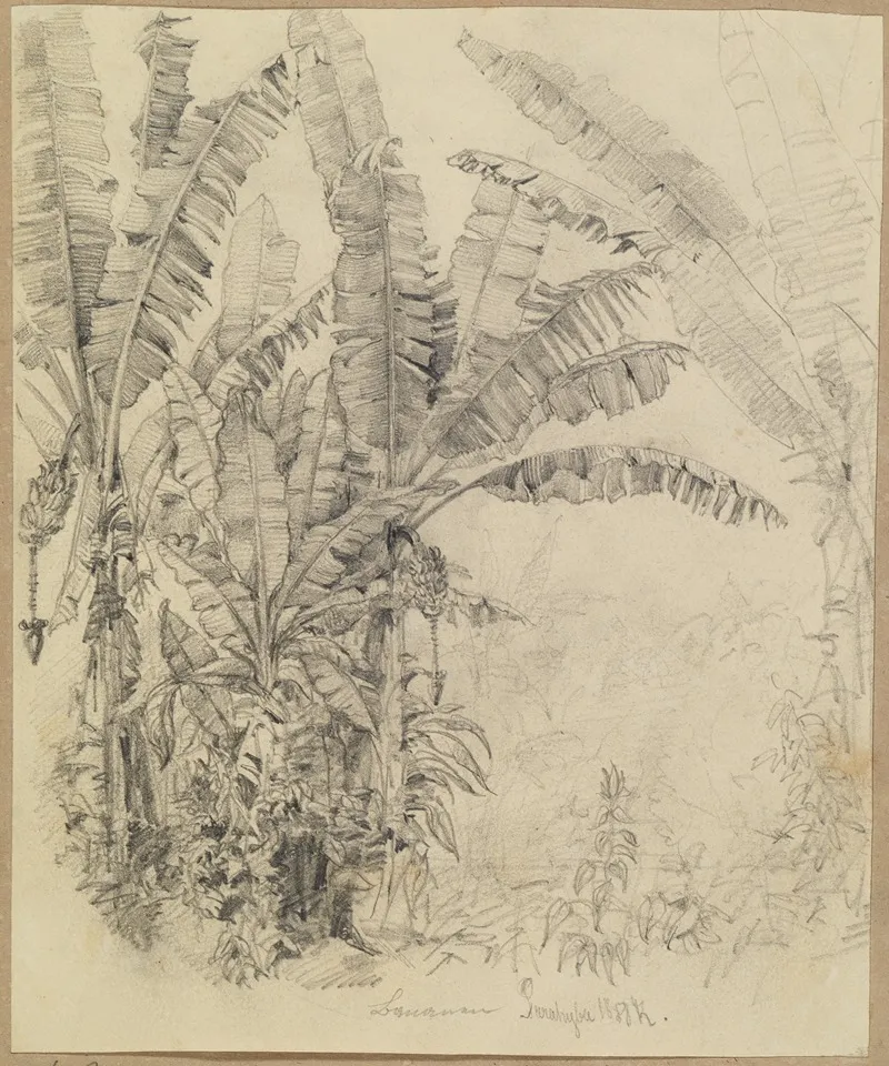 Im Urwald Palmengewachse by Ferdinand Keller - Canvas Print