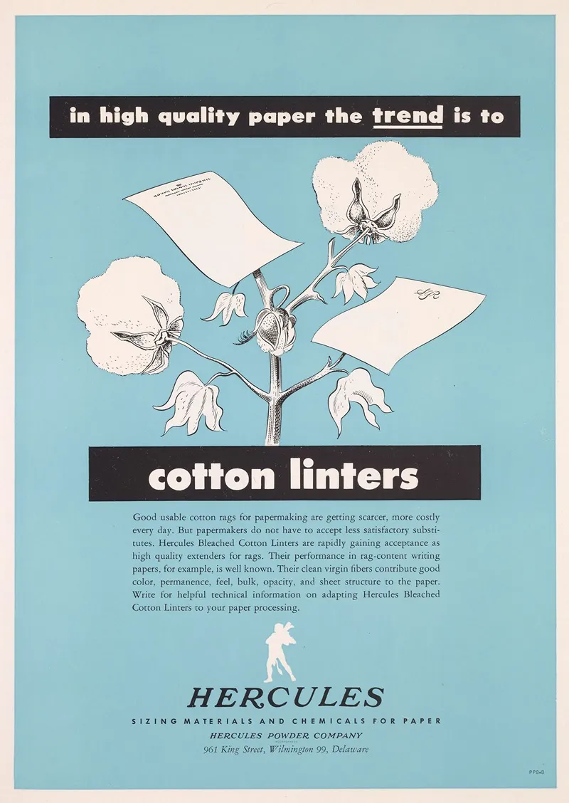 In High Quality Paper The Trend Is To Cotton Linters
