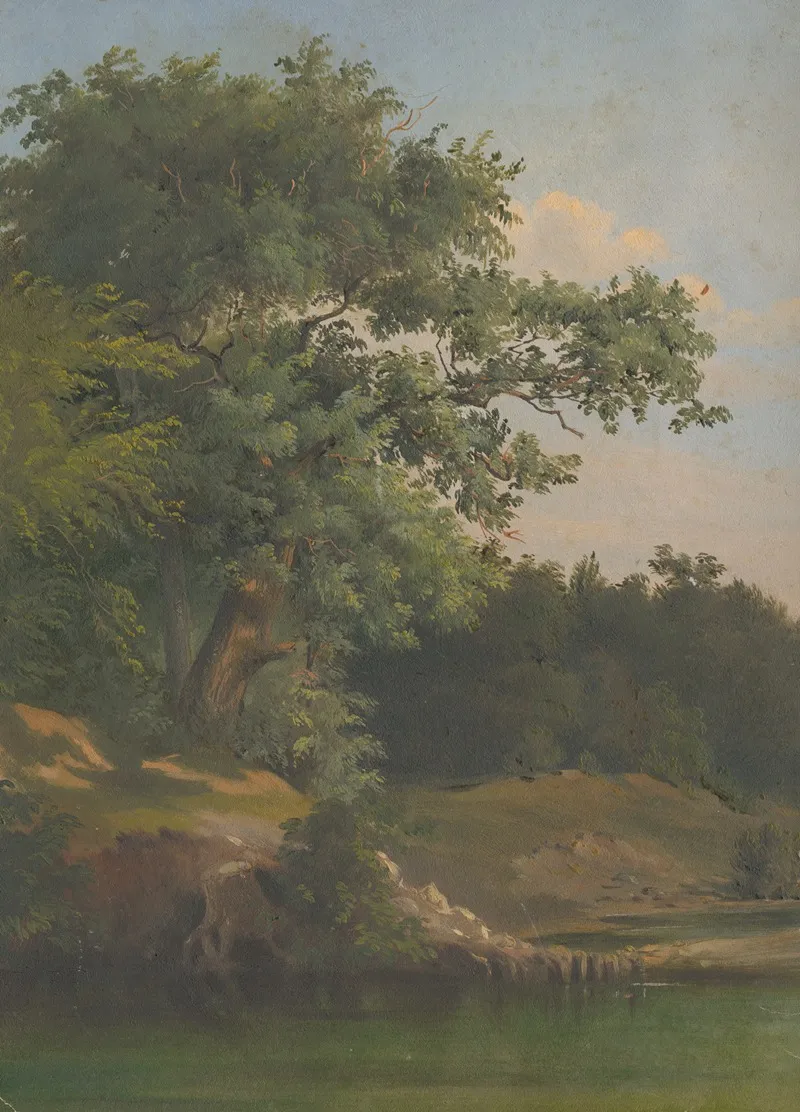 In The Forest 8 by Friedrich Carl von Scheidlin - Canvas Print