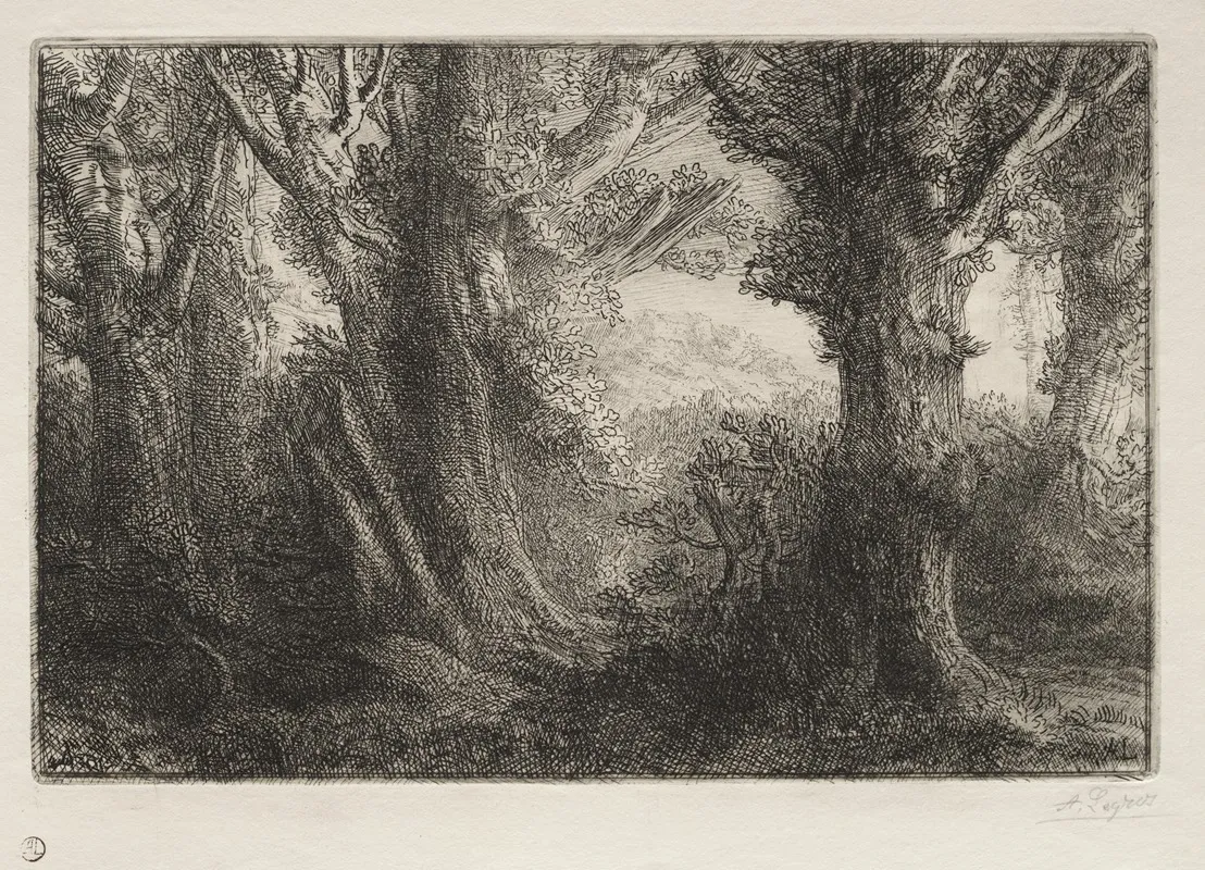 In The Forest At Conteville