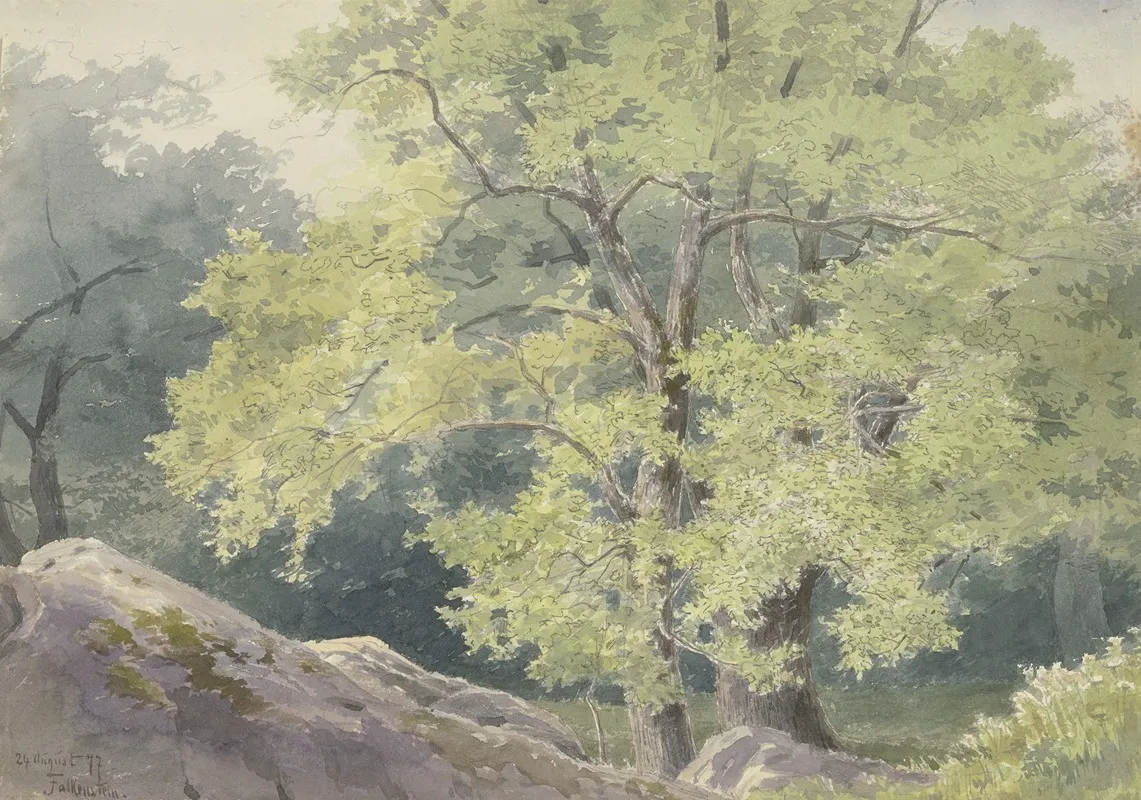 In The Forest Near Falkenstein by Friedrich Ernst Morgenstern - Canvas Print