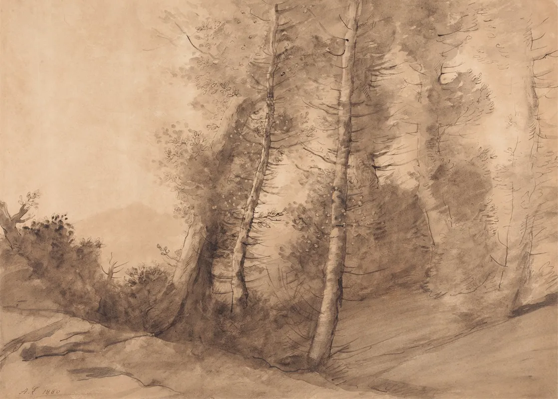 In The Skirts Of The Forest
