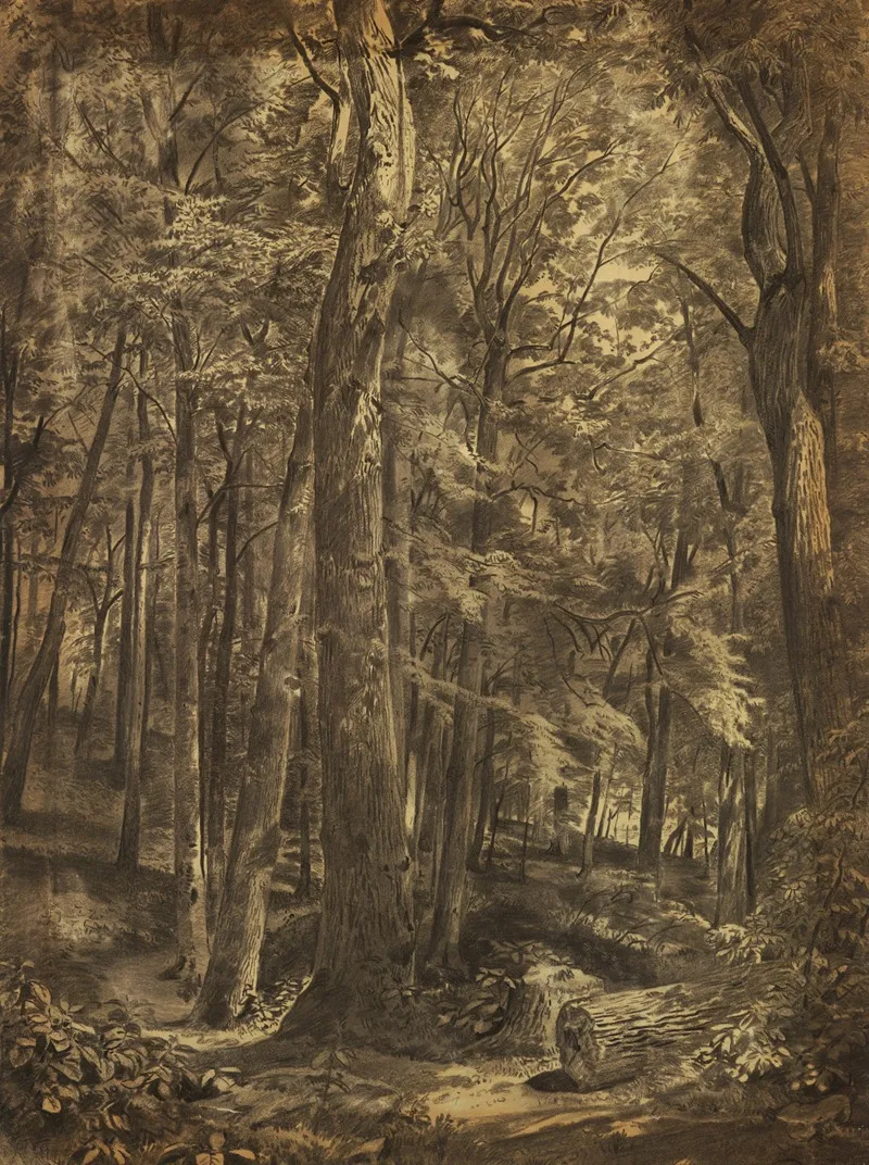 In The Woods 3