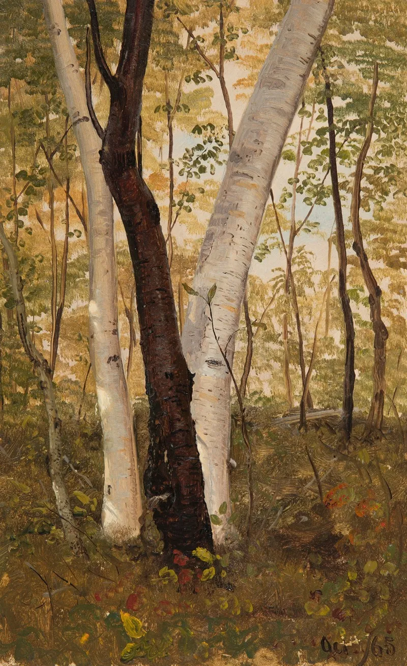 In The Woods Hudson New York
