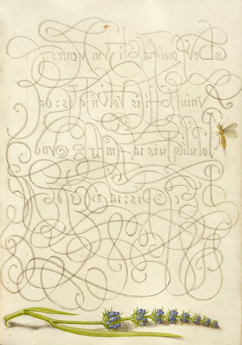 Insect And Hyssop by Joris Hoefnagel - Canvas Print