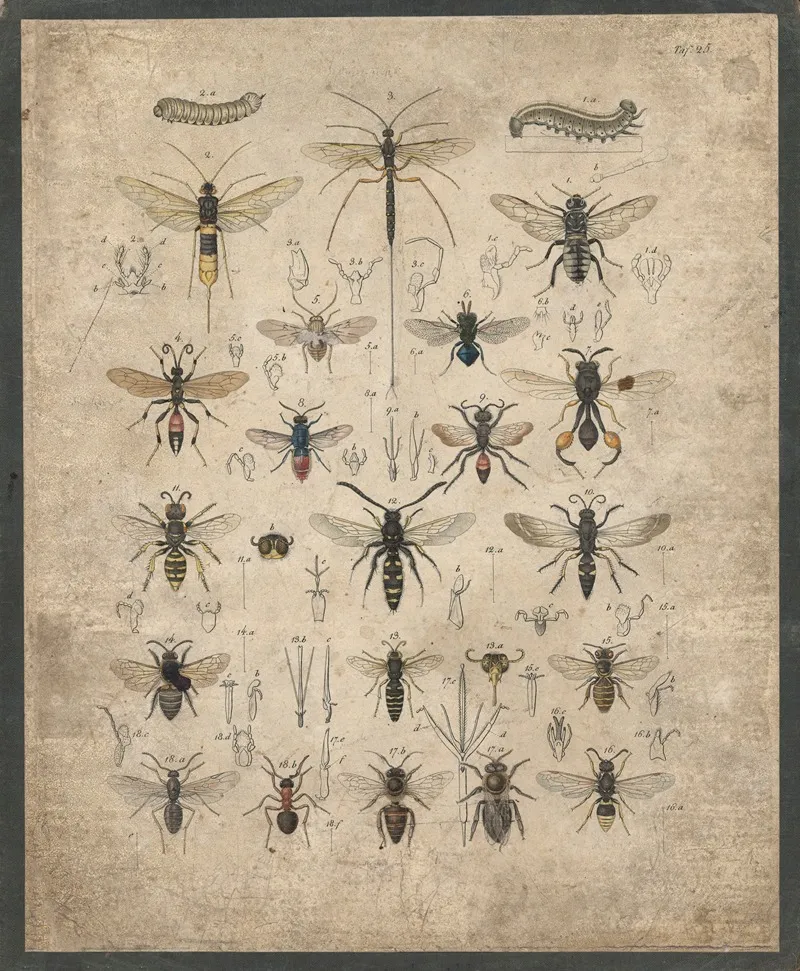 Insects 10