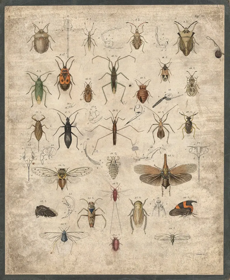 Insects 13