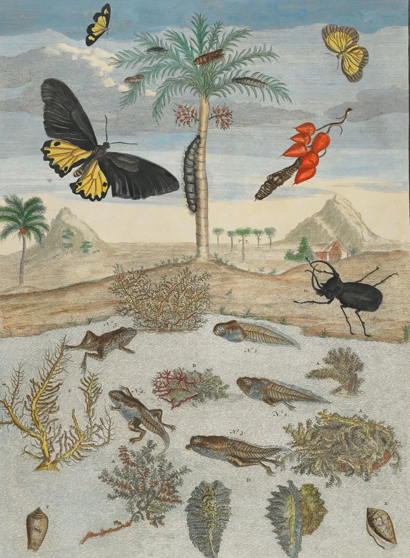 Insects And Fish With Island Background