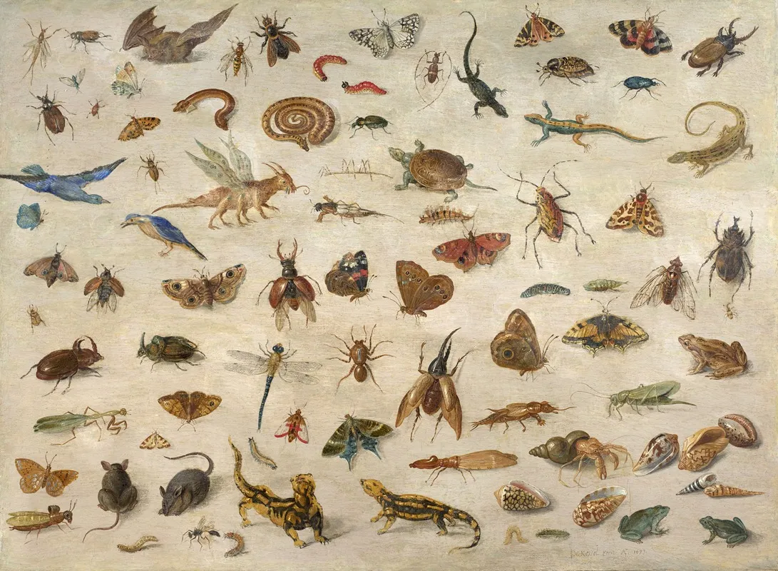 Insects Batrachians Shells And Mouses