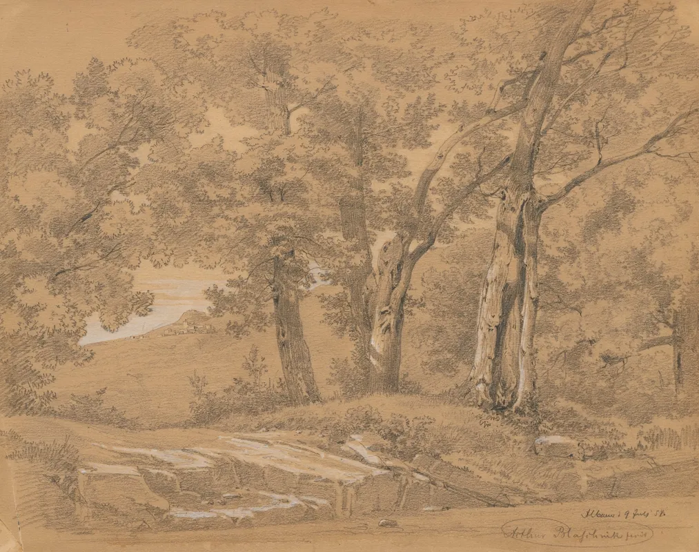Inside A Forest Near Albano